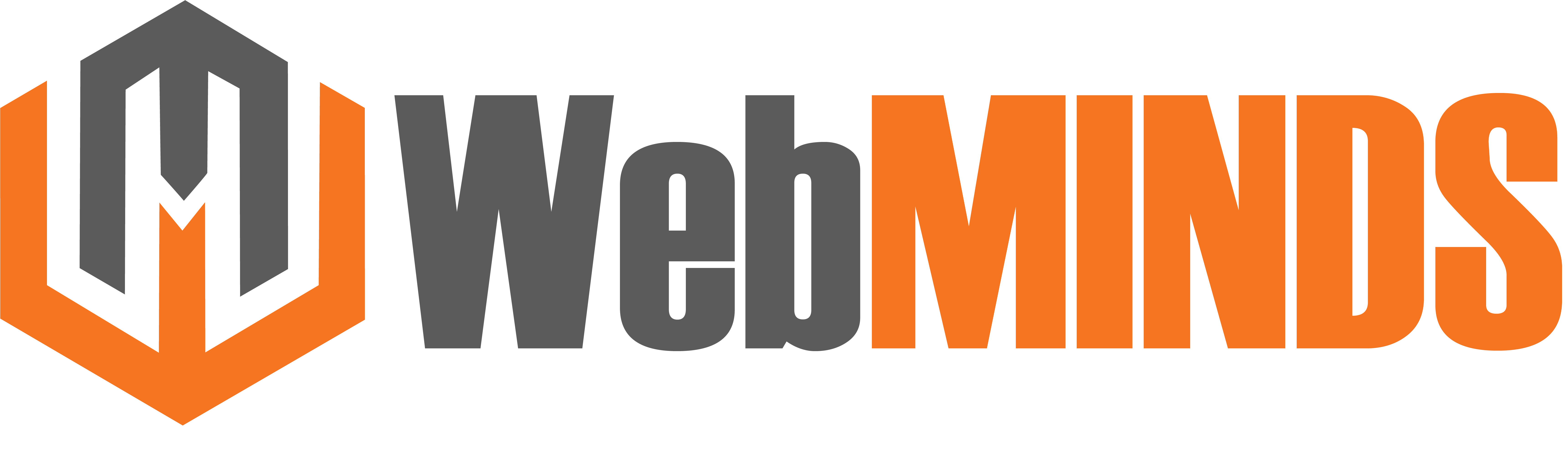 WebMINDS Logo